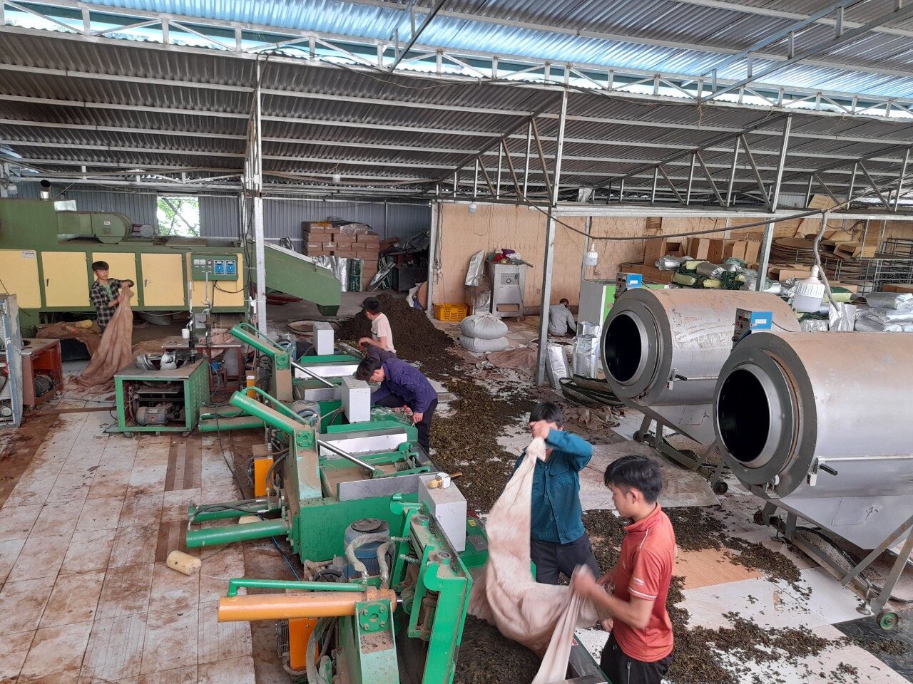 Xưởng sản xuất chè Mường Khương